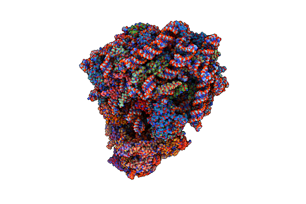 8Y0X image