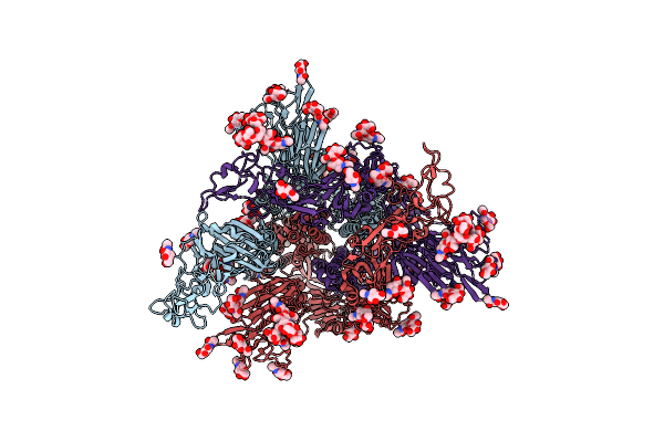 8Y1A image