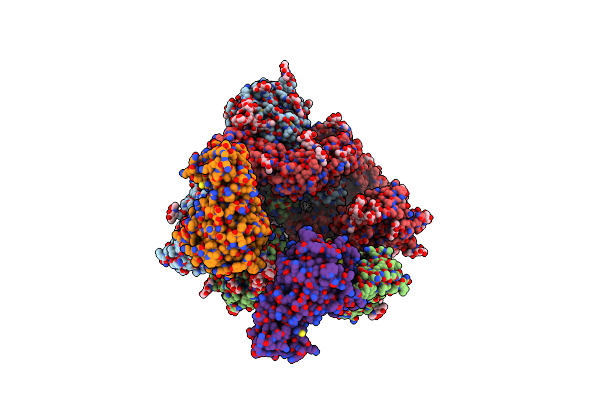 8Y1D image