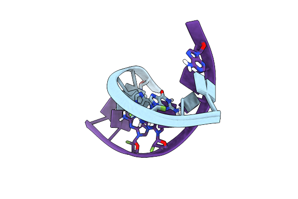 8Y1I image