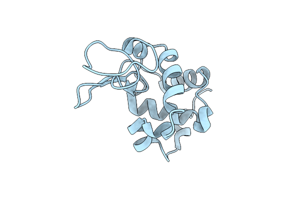 8Y1S image