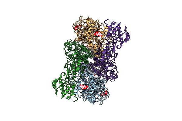 8Y1V image