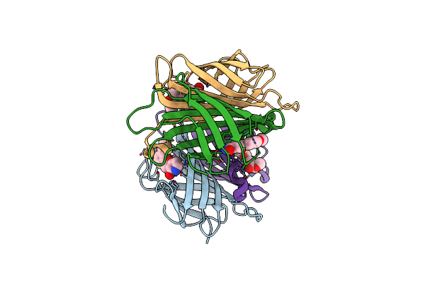 8Y2A image