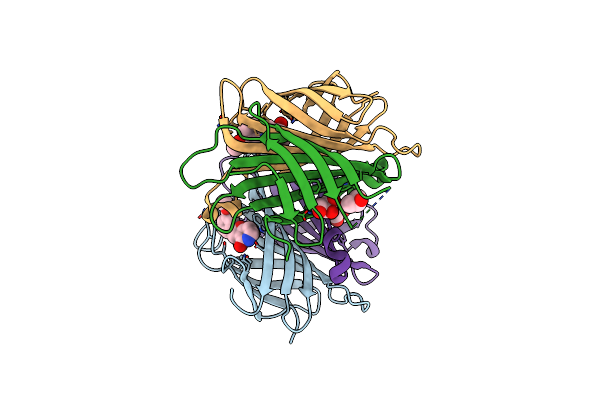 8Y2B image