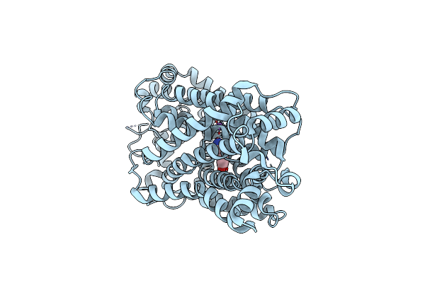 8Y2D image