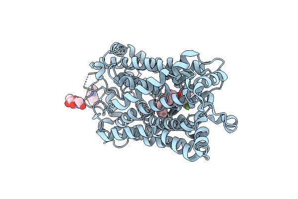 8Y2F image