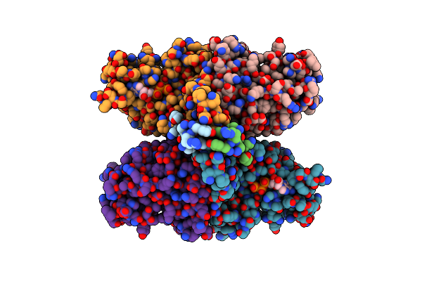 8Y2H image