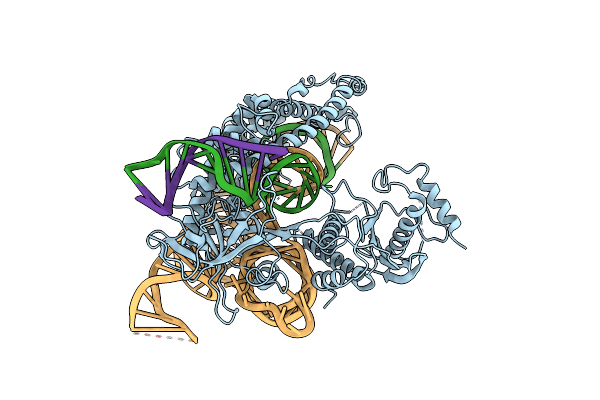 8Y2I image