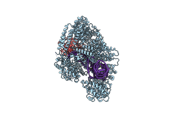8Y2O image