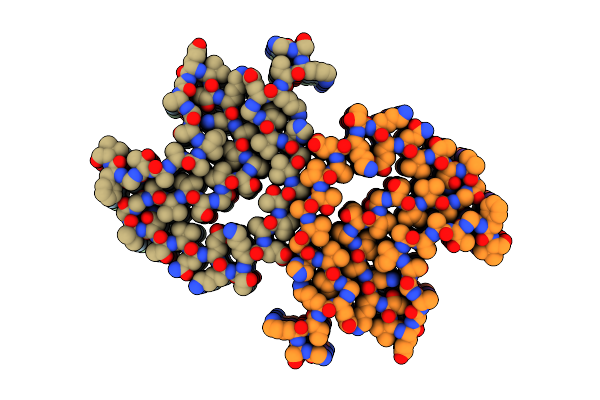 8Y2P image