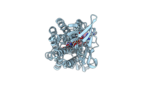 8Y2S image