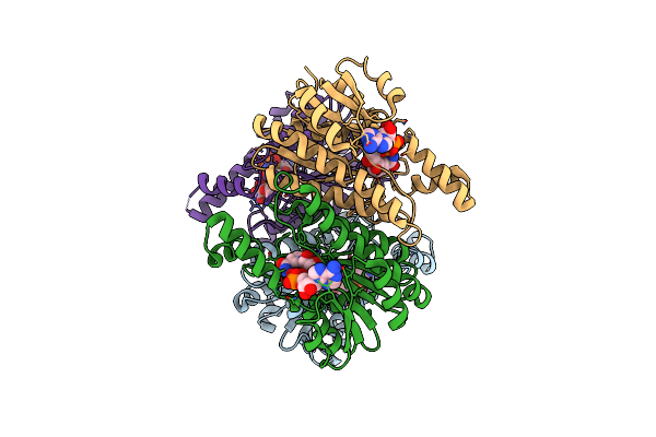 8Y4B image