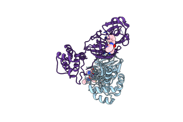 8Y4D image
