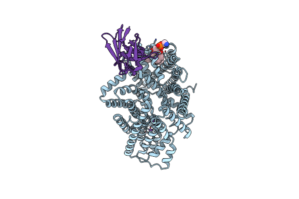 8Y4X image