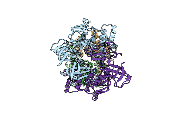 8Y5F image