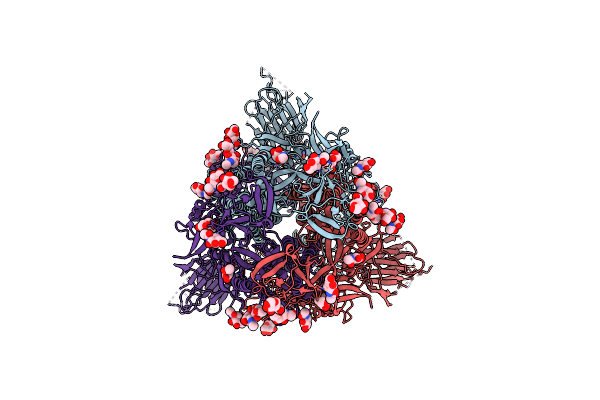 8Y5J image