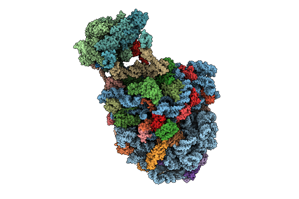 8Y5M image
