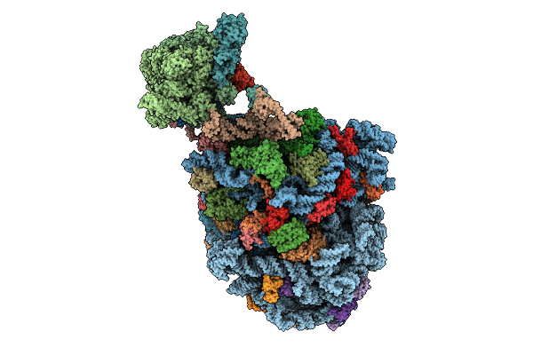8Y5T image