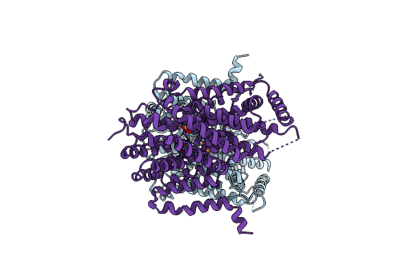 8Y5W image