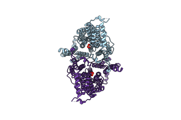 8Y5Z image