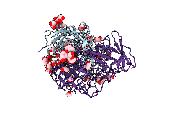 8Y6C image