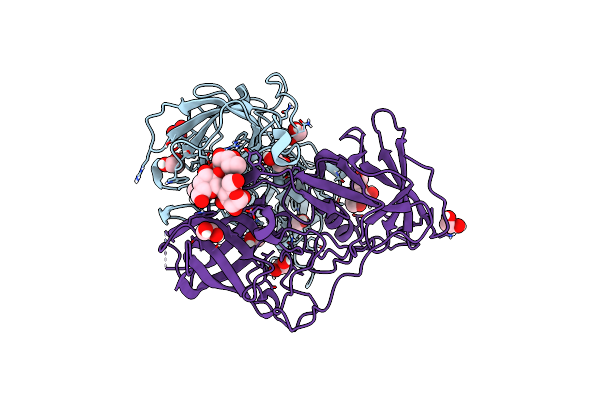 8Y6D image