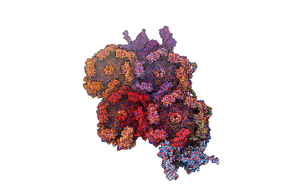 8Y6V image