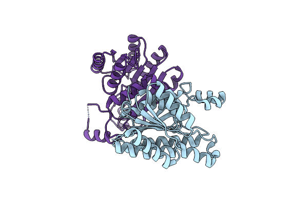 8Y7R image