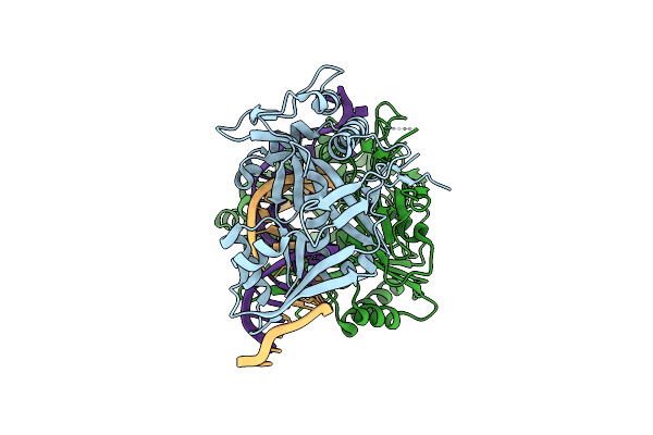 8Y7Z image
