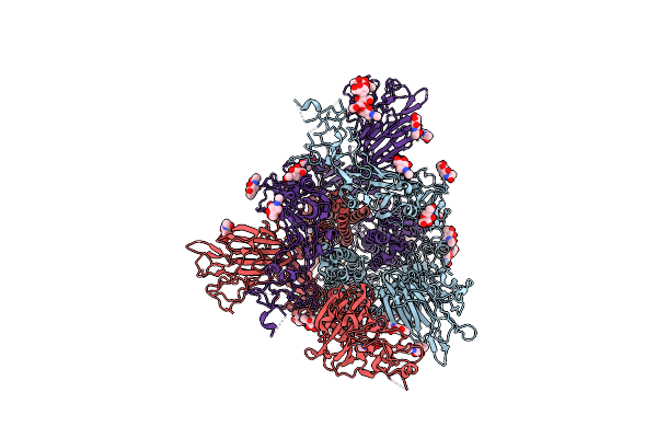 8Y8D image