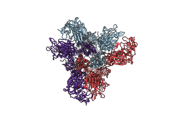 8Y8I image