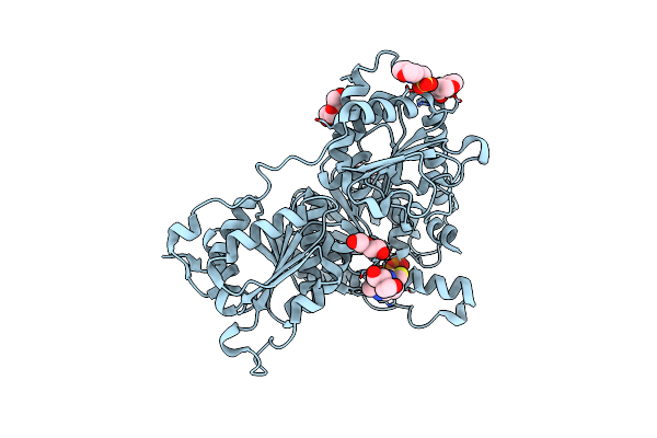 8Y8M image