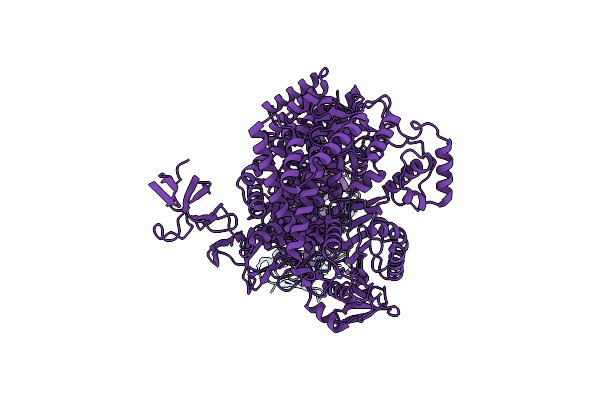 8Y9C image