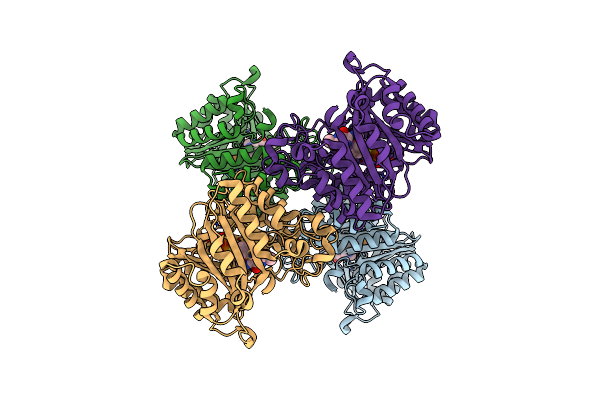 8Y9D image