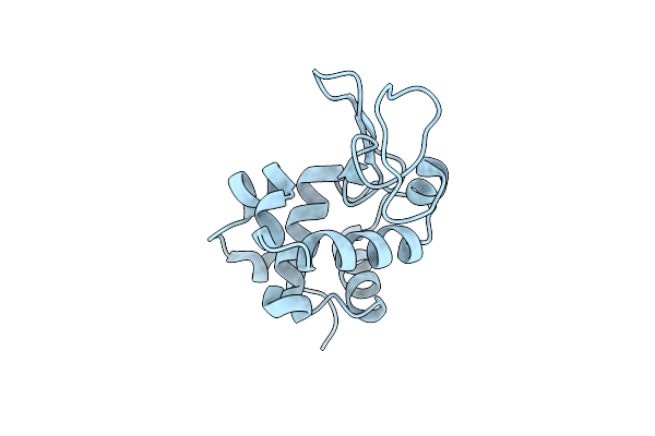 8Y9W image