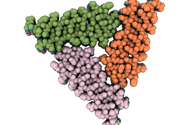 8YAC image