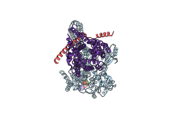 8YAS image