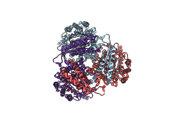 8YBR image