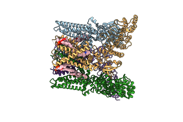 8YCP image