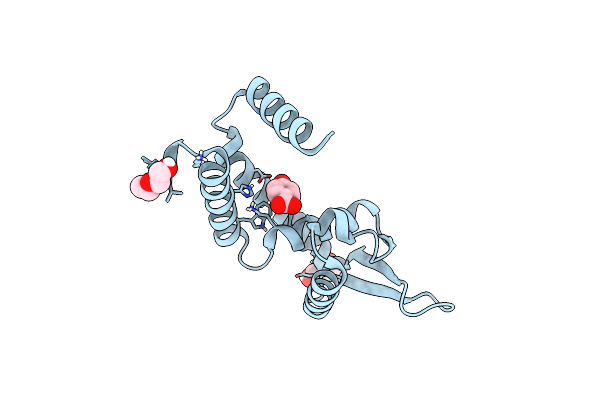 8YCV image