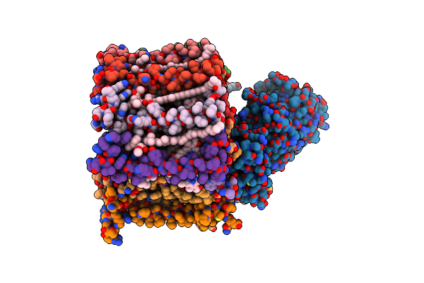 8YDM image
