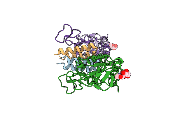 8YDT image