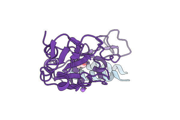 8YDW image