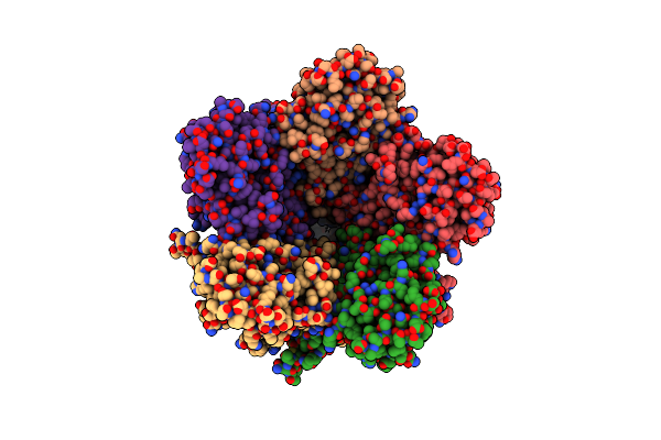 8YEF image