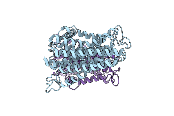 8YEX image