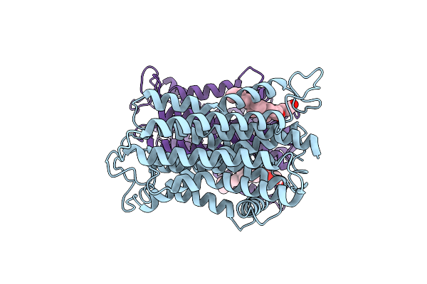 8YF4 image