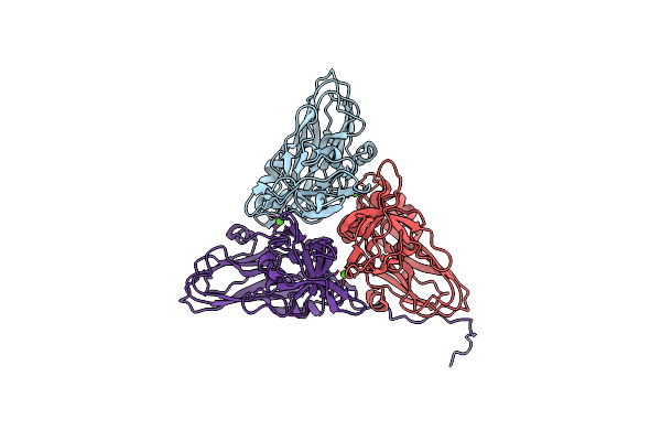 8YF8 image