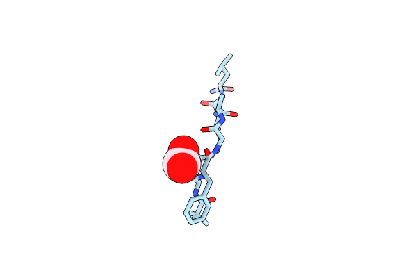 8YG2 image