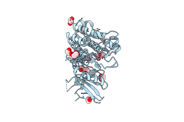 8YGZ image