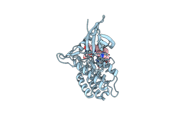 8YHL image